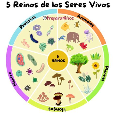 reinos biologicos